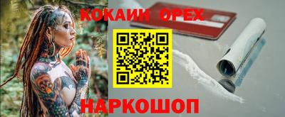 крисы Кингисепп