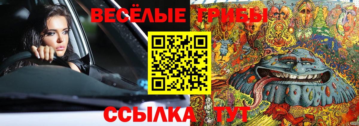 Псилоцибиновые грибы Cubensis  Кимовск 