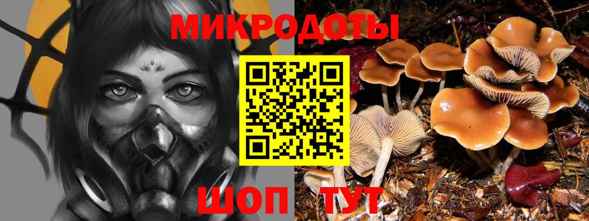 Галлюциногенные грибы GOLDEN TEACHER  Галлюциногенные грибы MAGIC MUSHROOMS  Вход с VPN  Кимовск 