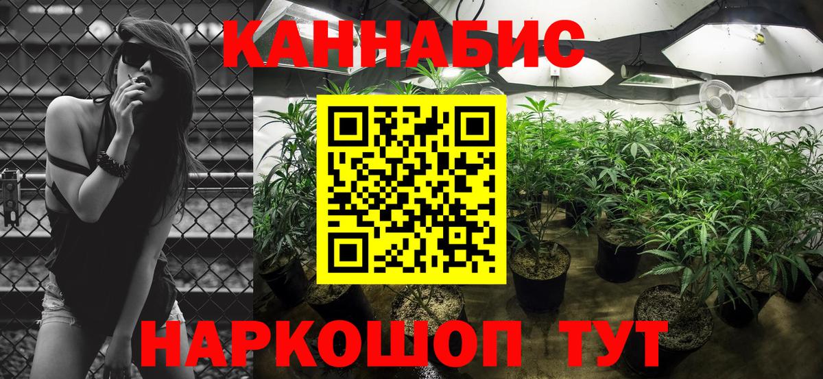 Бошки марихуана THC 21%  Шишки марихуана MAZAR  Каннабис гибрид  Кимовск 